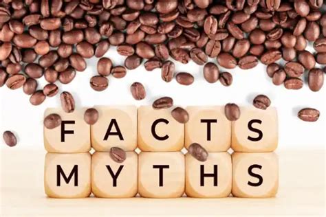 The Science of Coffee: How Chemistry and Physics Contribute to its Magical Properties